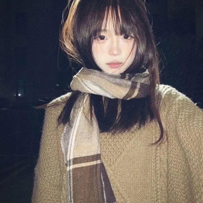 远山的红叶